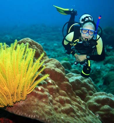 Scuba diver gracefully swimming alongside a massive and healthy hard coral formation, showcasing a thriving reef ecosystem around Mabul island.