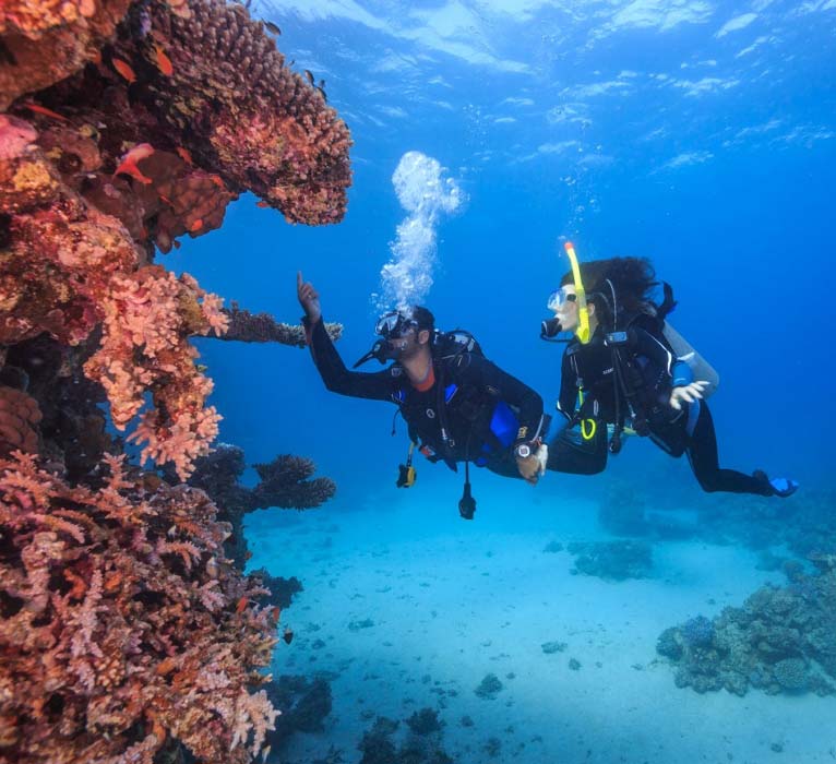 Two scuba divers exploring a beautiful and healthy coral reef, enjoying the incredible biodiversity of the Sipadan and Mabul area.
