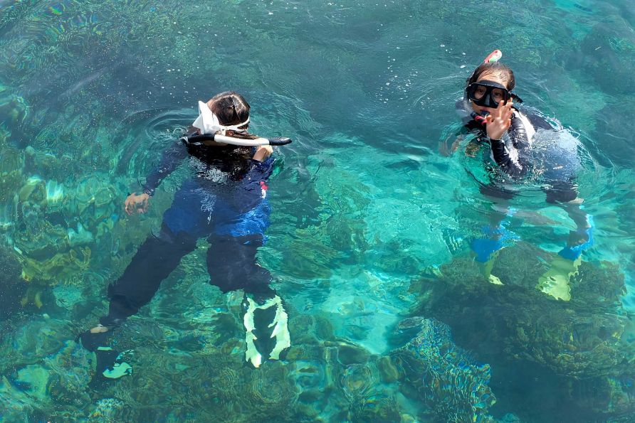 Snorkelers exploring the vibrant, shallow coral reef directly in front of the Borneo Divers Mabul Resort overwater chalets.