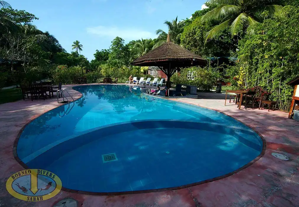 The inviting Borneo Divers Mabul Resort's swimming pool surrounded by sundecks, lounge chairs and palm trees, offering a perfect place to relax after a day of scuba diving or snorkeling.