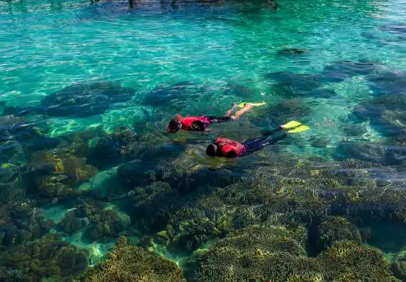 Snorkelers exploring the vibrant and colorful shallow coral reef directly in front of the Mabul Water Bungalows dive center.